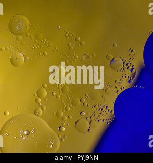 Abstract Molilecular Structure. Macro Photography Abstract oil  drops in water . Close-up. Stock Image. Stock Photo