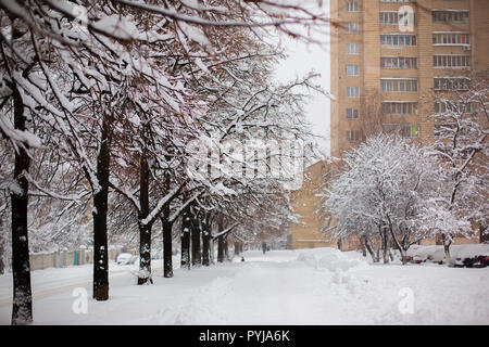 Winter landscape in the snowy city. City after a snowstorm, snow background. Stock Photo