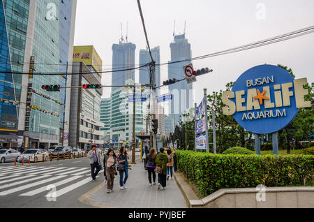 Sea Life on Haeundaehaebyeon-ro in Haeundae, Busan, South Korea is part of a street secene. Stock Photo