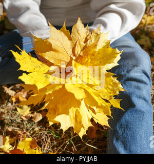 Girl is holding in hands a bunch of yellow autumn leaves Stock Photo