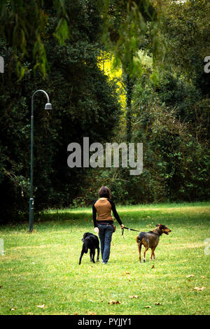 Back view of a woman walking two dogs in the park near a lamp.