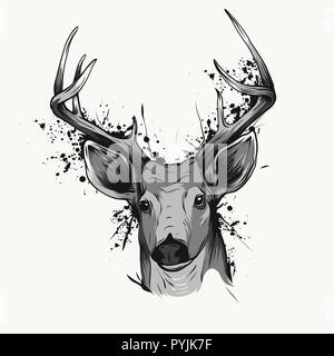 deer head on white, hand drawn vintage illustration Stock Vector