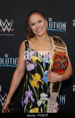 Uniondale NY USA Th Oct Stephanie McMahon At Evolution WWE S First Ever All Women S