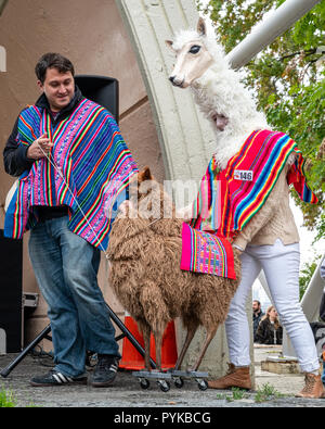 Dog dressed as llama hotsell