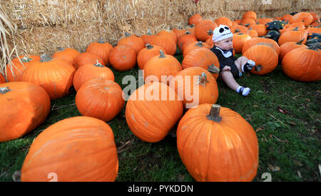 Los Angeles, USA. 28th Oct, 2018. A kid attends the activities of Pumpkin Festival celebration held at Kidspace Children's Museum in Los Angeles, the United States, Oct. 28, 2018. Credit: Li Ying/Xinhua/Alamy Live News Stock Photo