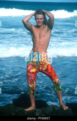 HONOLULU, HI - NOVEMBER 23: (EXCLUSIVE) Model/actor David Roman poses at a photo shoot on November 23, 1992 in Honolulu, Oahu, Hawaii. Photo by Barry King/Alamy Stock Photo Stock Photo