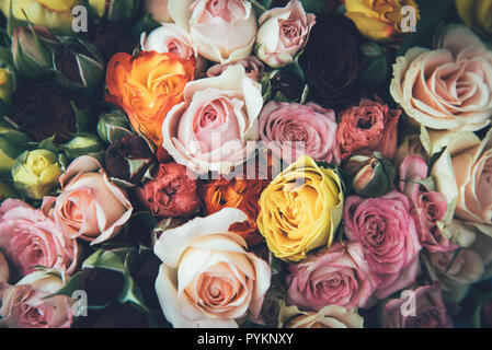 Pink, white and yellow roses background. Stock Photo