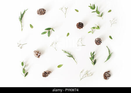 Christmas floral pattern. Winter composition of eucalyptus leaves and branches, larch cones and baby's breath flowers on white table background. Flat lay, top view. Stock Photo