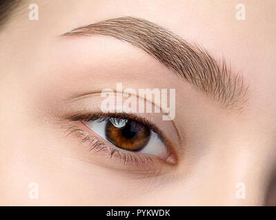 Close up view of beautiful brown female eye Stock Photo