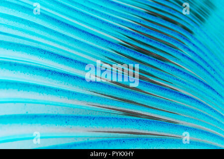Abstract thin blue lines on a black background Stock Photo