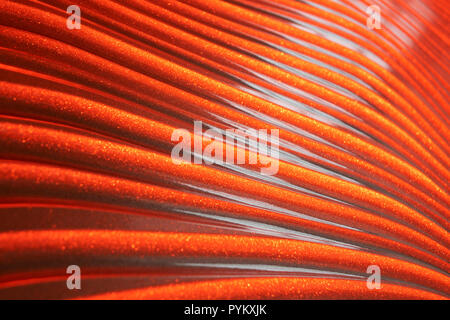 Abstract thin red lines on a black background Stock Photo