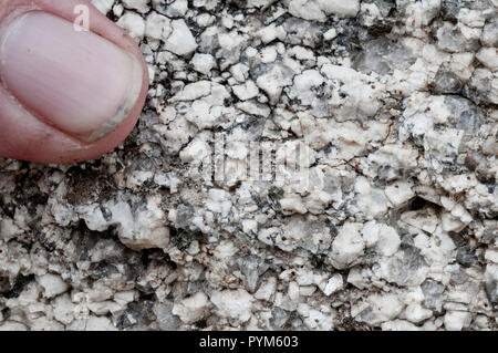 Granite close-up, Almo Pluton in the City of Rocks National Reserve in southcentral Idaho Stock Photo
