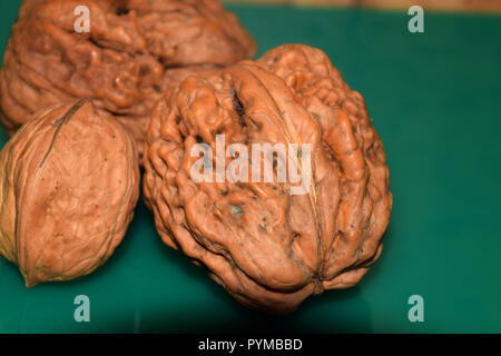 walnuts brain background, different juglans regia varieties on green reflective and nature cork background macro shot Stock Photo