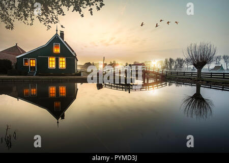 Ducks flying over a beautiful typical Dutch wooden houses architecture at the sunrise moment mirrored on the calm canal of Zaanse Schans located in th Stock Photo