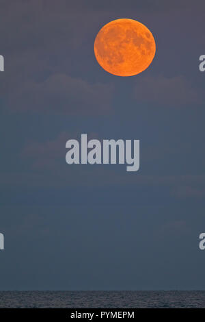 Blood Moon in red colors over the ocean, North Sea, Germany Stock Photo