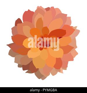 Multicolored colorful dahlia isolated on white background. Vector Illustration Stock Vector