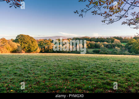 View across the frosty countryside surrounding the village of Fritham in the New Forest National Park, Hampshire, England, UK Stock Photo