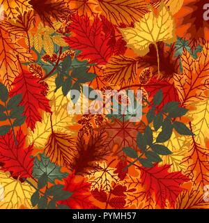 Naturalistic multicolored autumn leaves beautifully laid out on background. Vector Illustration Stock Vector