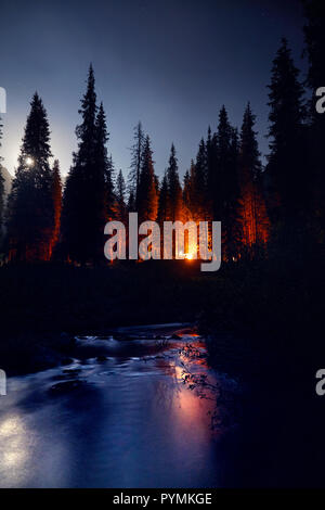 Burning campfire on a dark night in a forest Stock Photo - Alamy