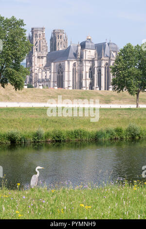 A grey heron by the side of the Moselle, with Toul cathedral in the background, France, Europe Stock Photo