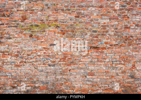 Rough textured old brick wall as a background Stock Photo