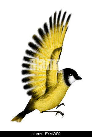 3D rendering of a flying songbird goldfinch isolated on white background Stock Photo