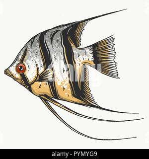 Black scalar fish on white background, vector illustration Stock Vector