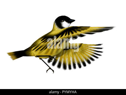 3D rendering of a flying songbird goldfinch isolated on white background Stock Photo