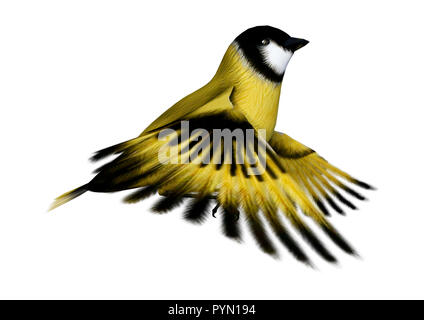 3D rendering of a flying songbird goldfinch isolated on white background Stock Photo