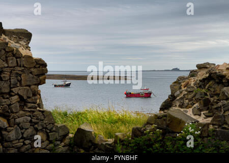 Two fishing boats at low tide in the Harbour of Holy Island of Lindisfarne with Bamburgh Castle through the Steel End ruins England UK Stock Photo