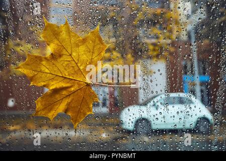 Autumn in the city. Fallen maple leaf and raindrops on a window of car against street. Stock Photo