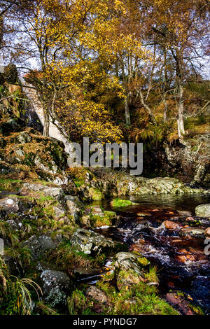 Autumn at Linhope Spout waterfall, high in the Breamish Valley in Northumberland National Park Stock Photo