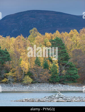 Trees showing their beautiful Autumnal colours on the shores of Loch Vaa in the Scottish Highlands and the Cairngorm National Park. Stock Photo