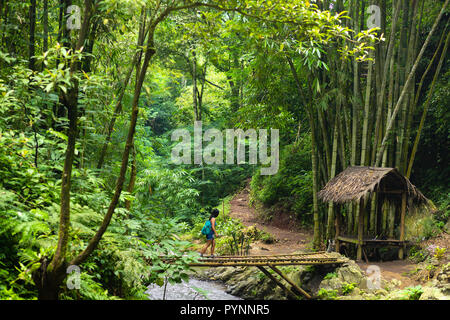 Tourist woman walking on a bamboo bridge near the Red Coral waterfall in the Munduk jungle, Bali, Indonesia Stock Photo