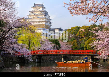 The Himeji castle at full cherry blossom, with tourist boat on the river, Unesco world heritage, Japan Stock Photo