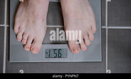 Cat standing on the scales. Cat Weigh control. Healthy body weight Stock  Photo - Alamy