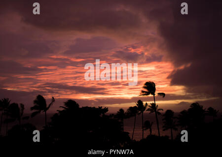 Sunset Sky with Hurricane Storm Approaching over Ocean with Palm Trees Blowing in Silhouette Stock Photo