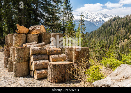 Pile of logs near hiking trail near Wiesen in Switzerland Stock Photo