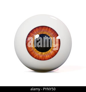 human eyeball with brown iris isolated with shadow on white background (3d render) Stock Photo