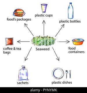 Bioplastic products from seaweed. Seaweed replace plastic packaging ...