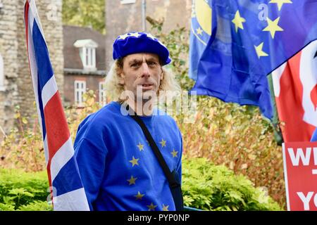 London, UK. 29th October, 2018. Budget Day Protest Against Brexit,Houses of Parliament,Westminster,London.UK Credit: michael melia/Alamy Live News Stock Photo