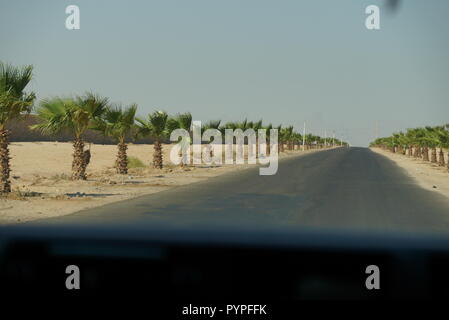 black street in Egypt Hurghada in desert witj palm trees Stock Photo