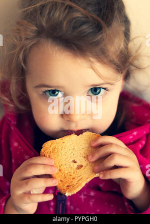 Portrait of a little girl eating a rusk. Stock Photo