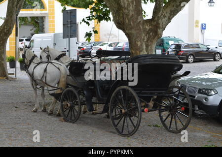 Two white horses in front of a beautiful old black carriage resting in the shade under a tree in the city of Evora in Alentejo, Portugal Stock Photo