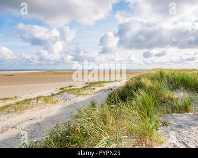 View to tidal flats of Wadden Sea at low tide from dunes and beach of nature reserve Boschplaat on Frisian island Terschelling, Netherlands Stock Photo