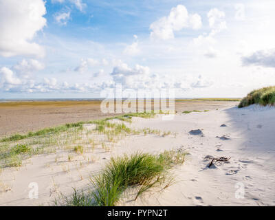 View to tidal flats of Wadden Sea at low tide from beach of nature reserve Boschplaat on Frisian island Terschelling, Netherlands Stock Photo