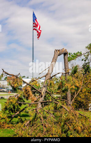 An American flag flies behind a splintered pine tree, Oct. 18, 2018, in Marianna, Florida. Coastal cities as well as inland cities like Marianna were  Stock Photo