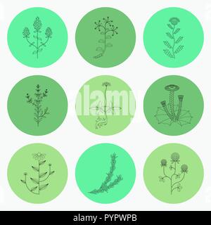 Medicinal herbs, contour icons isolated on white background Stock Vector