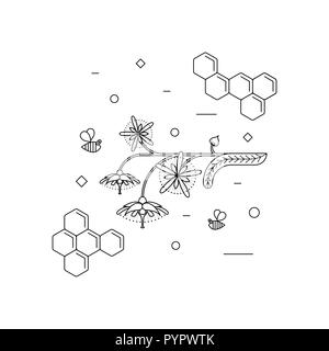 Lime honey. Linden blossoms with bees. Vector linear icons for print , web site, flyer Stock Vector