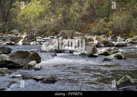 The River Wye in Rhayader,Powys,Wales Stock Photo